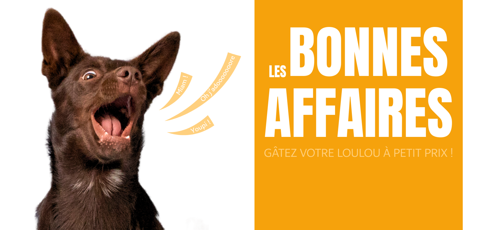 Home sitebonnesaffaires