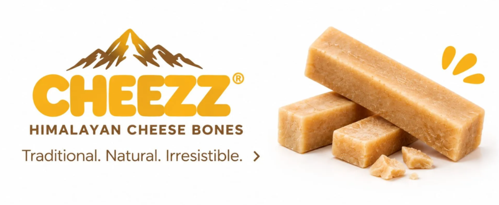 cheez himalayan